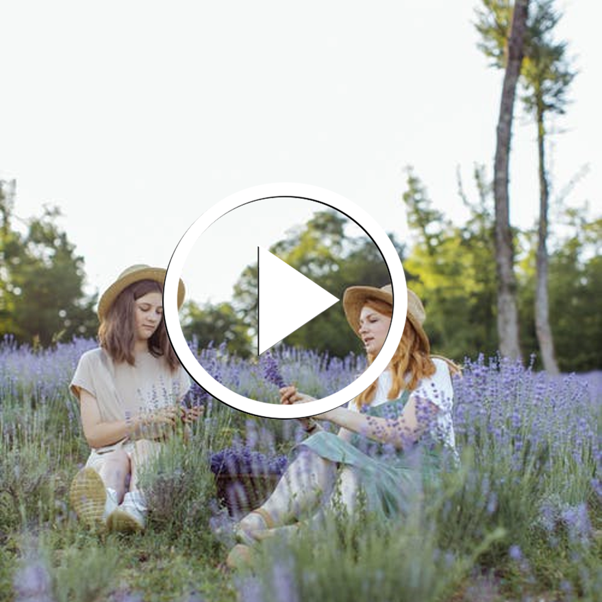 filles dans un champs de lavande